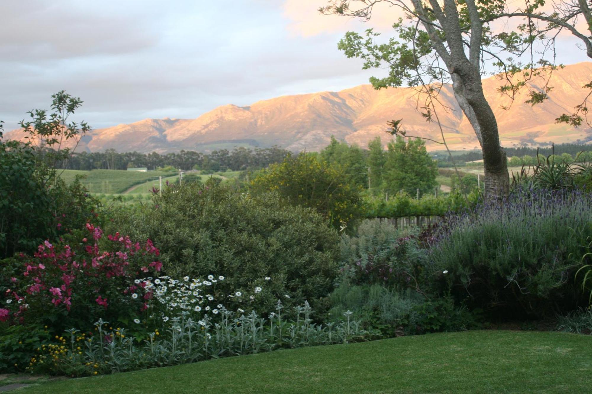 Belfield Wines And Farm Cottages Grabouw Eksteriør bilde