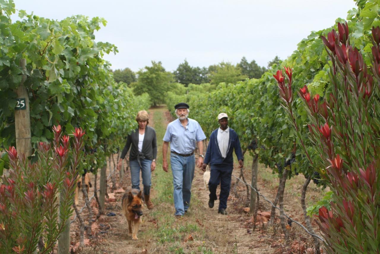 Belfield Wines And Farm Cottages Grabouw Eksteriør bilde