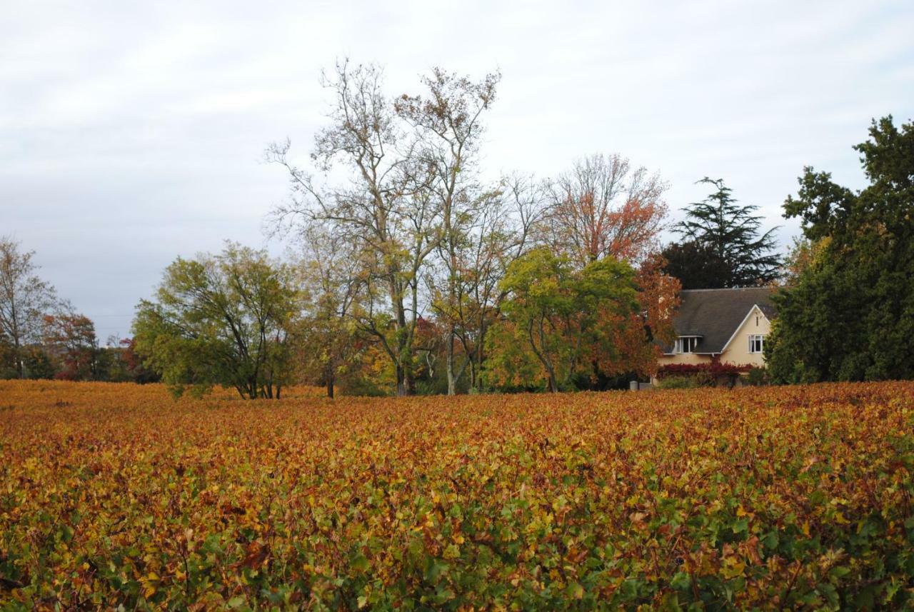 Belfield Wines And Farm Cottages Grabouw Eksteriør bilde